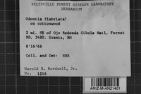 Image Associated With the Occurrence