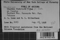 Image Associated With the Occurrence