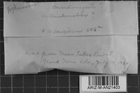 Image Associated With the Occurrence