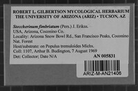 Image Associated With the Occurrence