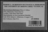 Image Associated With the Occurrence