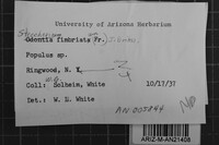 Image Associated With the Occurrence