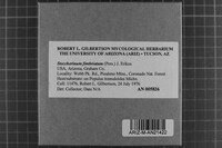 Image Associated With the Occurrence