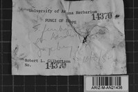 Image Associated With the Occurrence