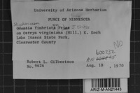 Image Associated With the Occurrence