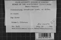 Image Associated With the Occurrence