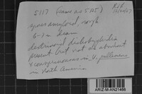 Image Associated With the Occurrence