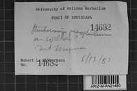 Image Associated With the Occurrence