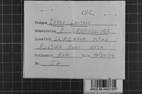 Image Associated With the Occurrence