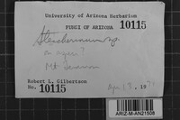 Image Associated With the Occurrence