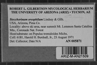 Image Associated With the Occurrence