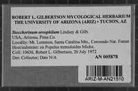 Image Associated With the Occurrence