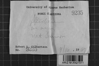 Image Associated With the Occurrence