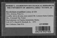 Image Associated With the Occurrence