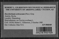 Image Associated With the Occurrence