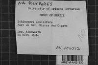 Image Associated With the Occurrence