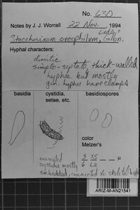 Image Associated With the Occurrence