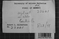 Image Associated With the Occurrence