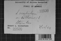 Image Associated With the Occurrence