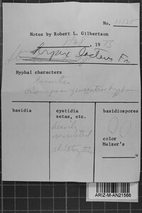 Image Associated With the Occurrence