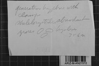 Image Associated With the Occurrence