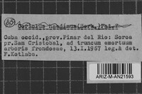 Image Associated With the Occurrence