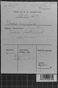 Image Associated With the Occurrence