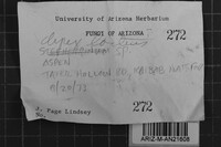 Image Associated With the Occurrence