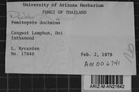 Image Associated With the Occurrence