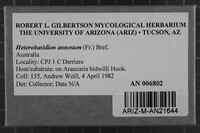 Image Associated With the Occurrence