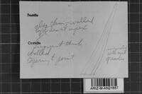 Image Associated With the Occurrence