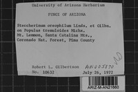 Image Associated With the Occurrence