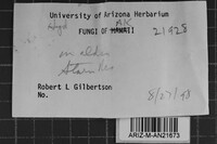 Image Associated With the Occurrence