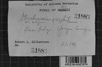 Image Associated With the Occurrence