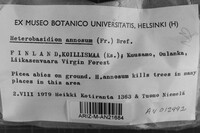 Image Associated With the Occurrence