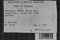 Image Associated With the Occurrence