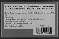 Image Associated With the Occurrence