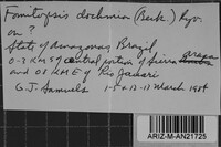 Image Associated With the Occurrence