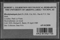 Image Associated With the Occurrence