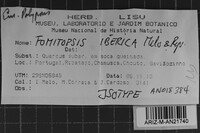 Image Associated With the Occurrence