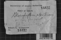 Image Associated With the Occurrence