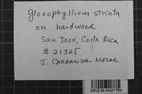 Image Associated With the Occurrence