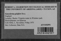 Image Associated With the Occurrence