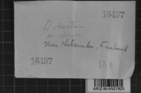 Image Associated With the Occurrence