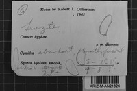 Image Associated With the Occurrence