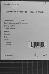 Image Associated With the Occurrence