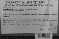 Image Associated With the Occurrence