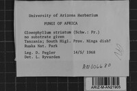 Image Associated With the Occurrence