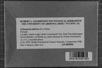 Image Associated With the Occurrence