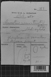 Image Associated With the Occurrence